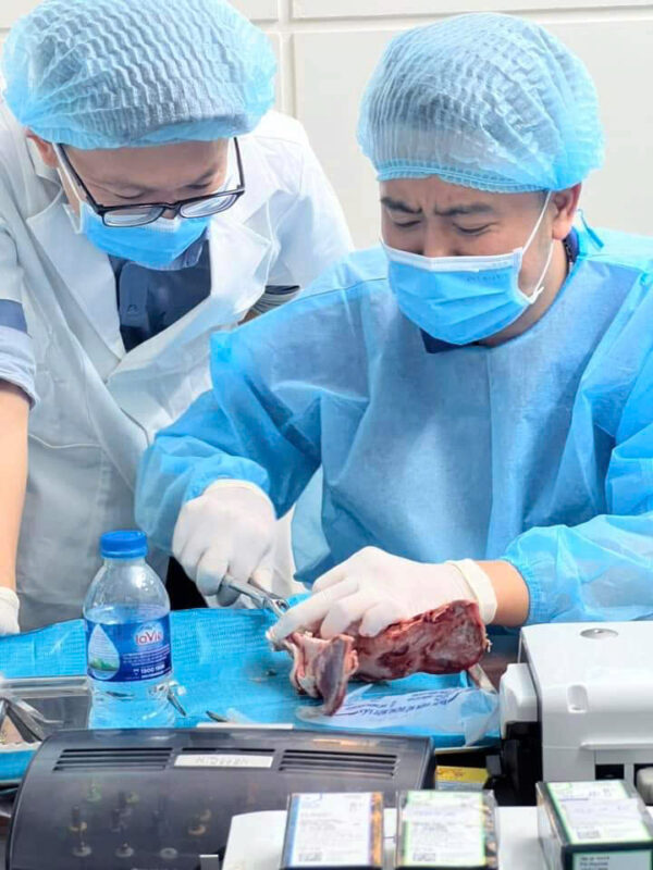 Ngành răng hàm mặt 1 ngành răng hàm mặt