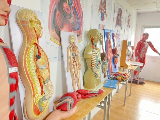 Nghị quyết 72/NQ-TW: Giải pháp đột phá vì sức khỏe nhân dân — Từ phòng bệnh đến y tế cơ sở 1 z7021419749695 6bdf8e68c922e800b40d8ea92a7ff40d